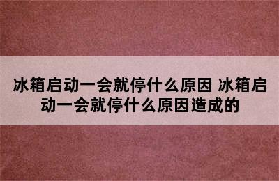 冰箱启动一会就停什么原因 冰箱启动一会就停什么原因造成的